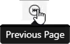 previous page