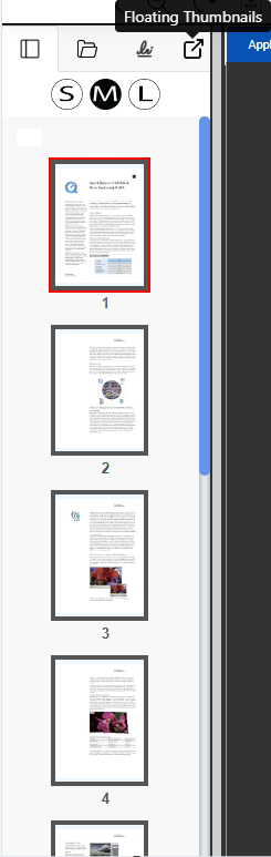 Floating Thumbnail icon in thumbnail Panel