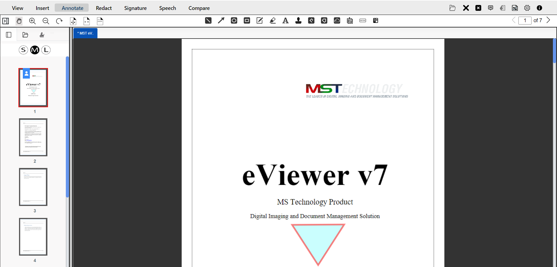 polygon annotation example