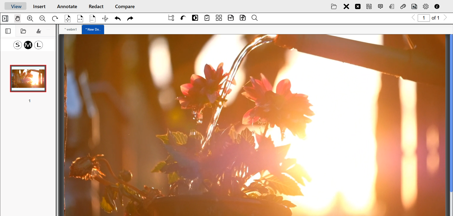video snapshot in a separate document tab