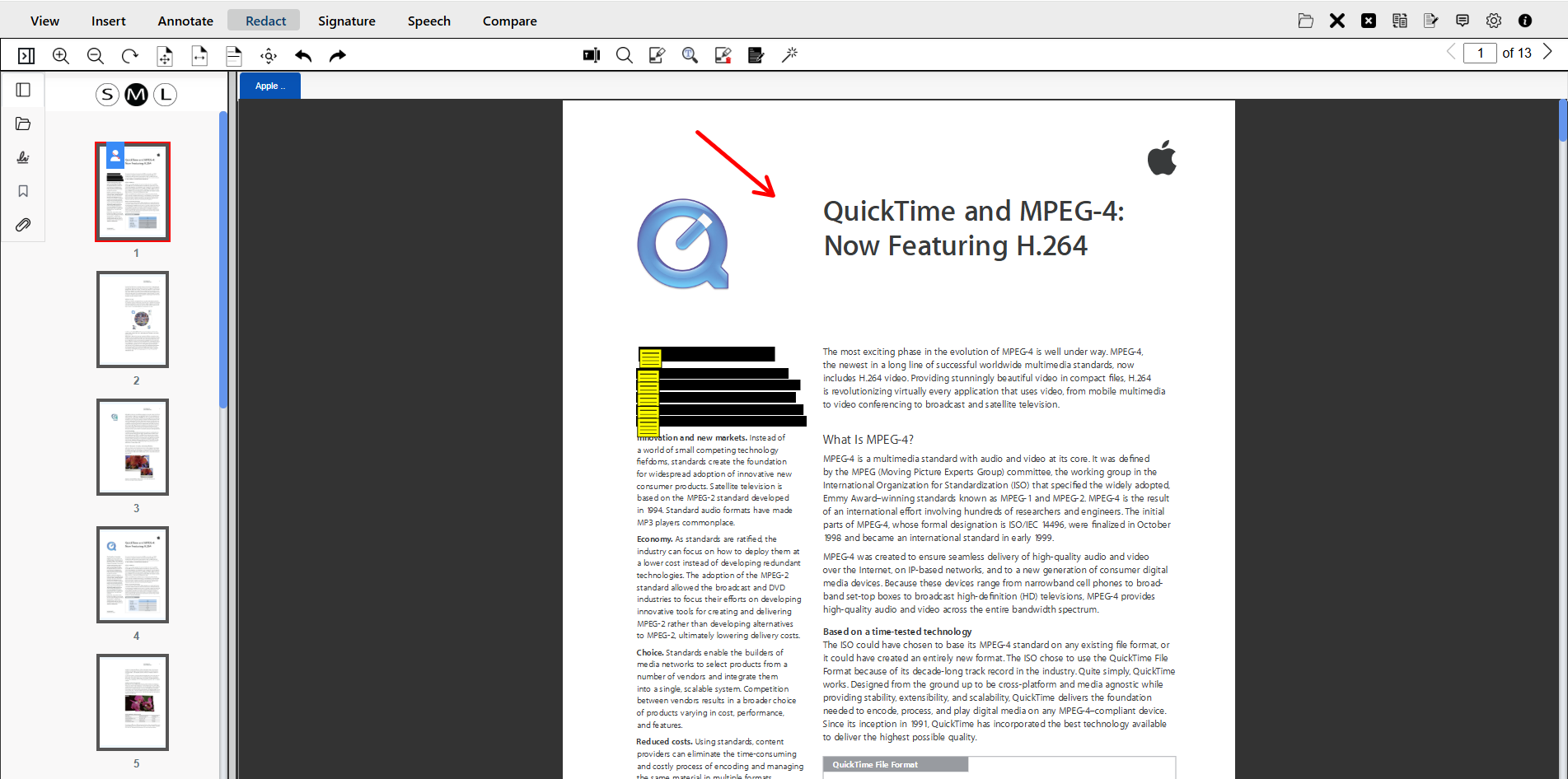 redaction and annotation