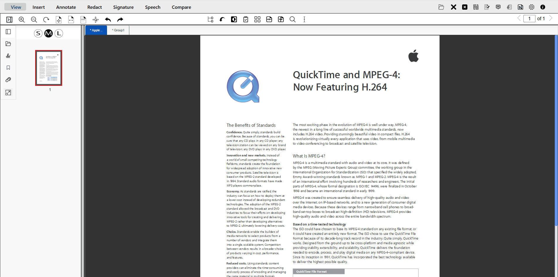 original document before split