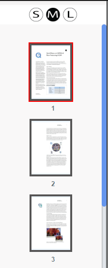 Thumbnail Zoom Controls