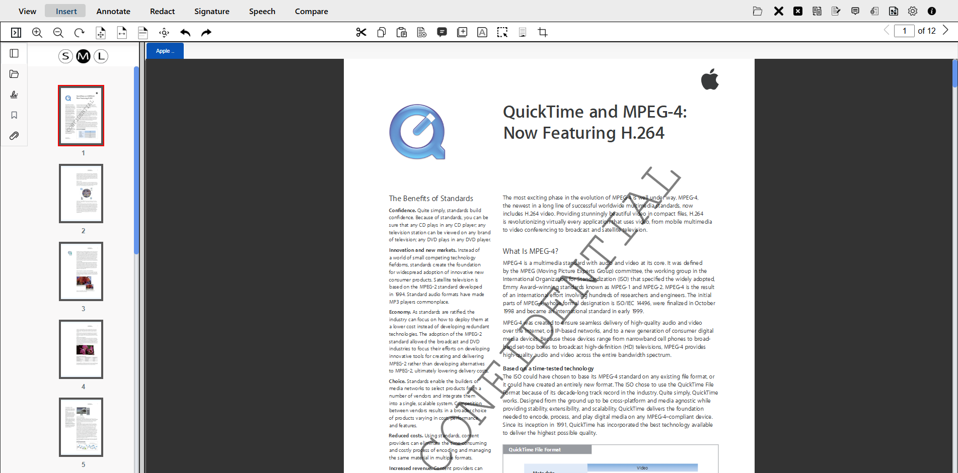 watermark is marked on the document